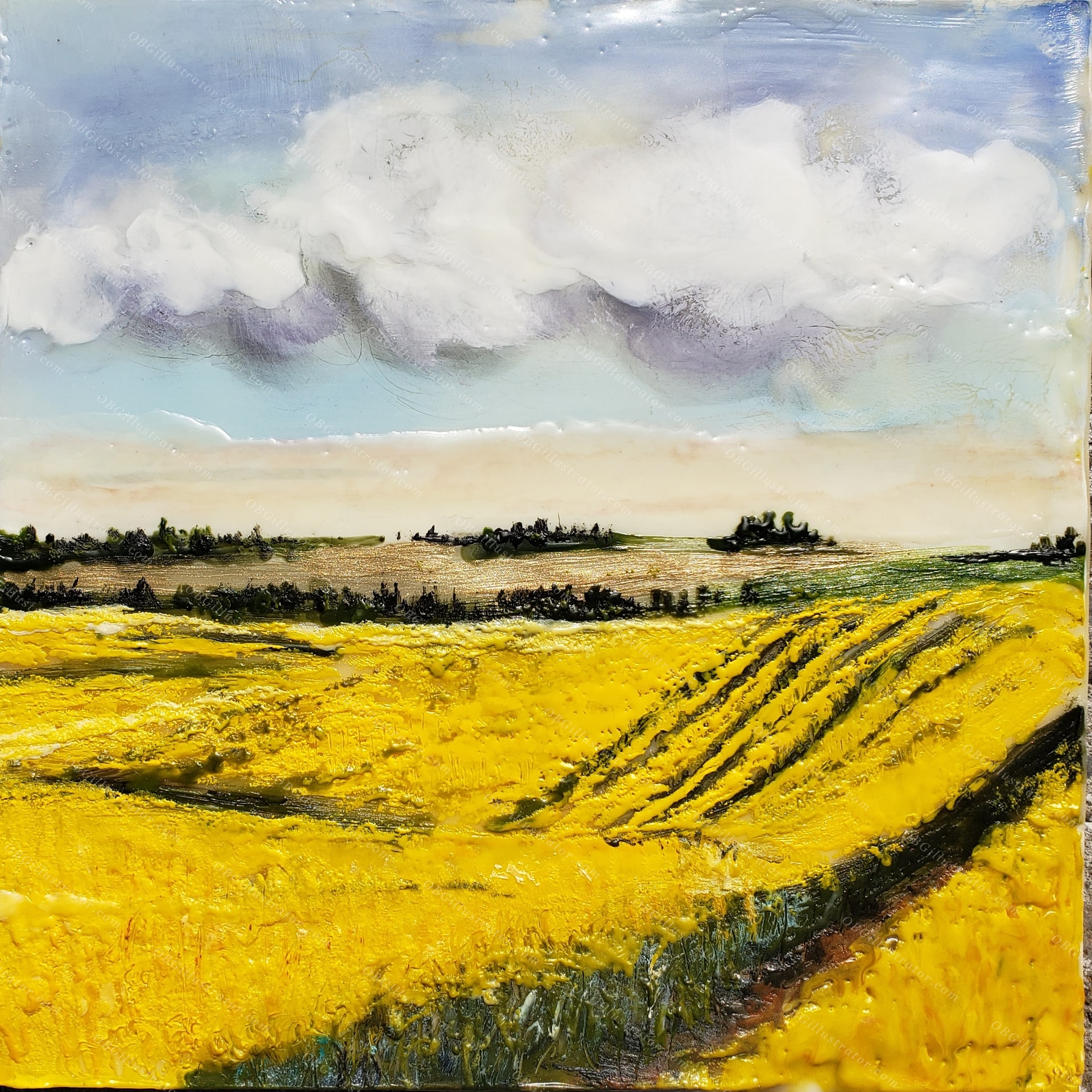 Fields of Mustard