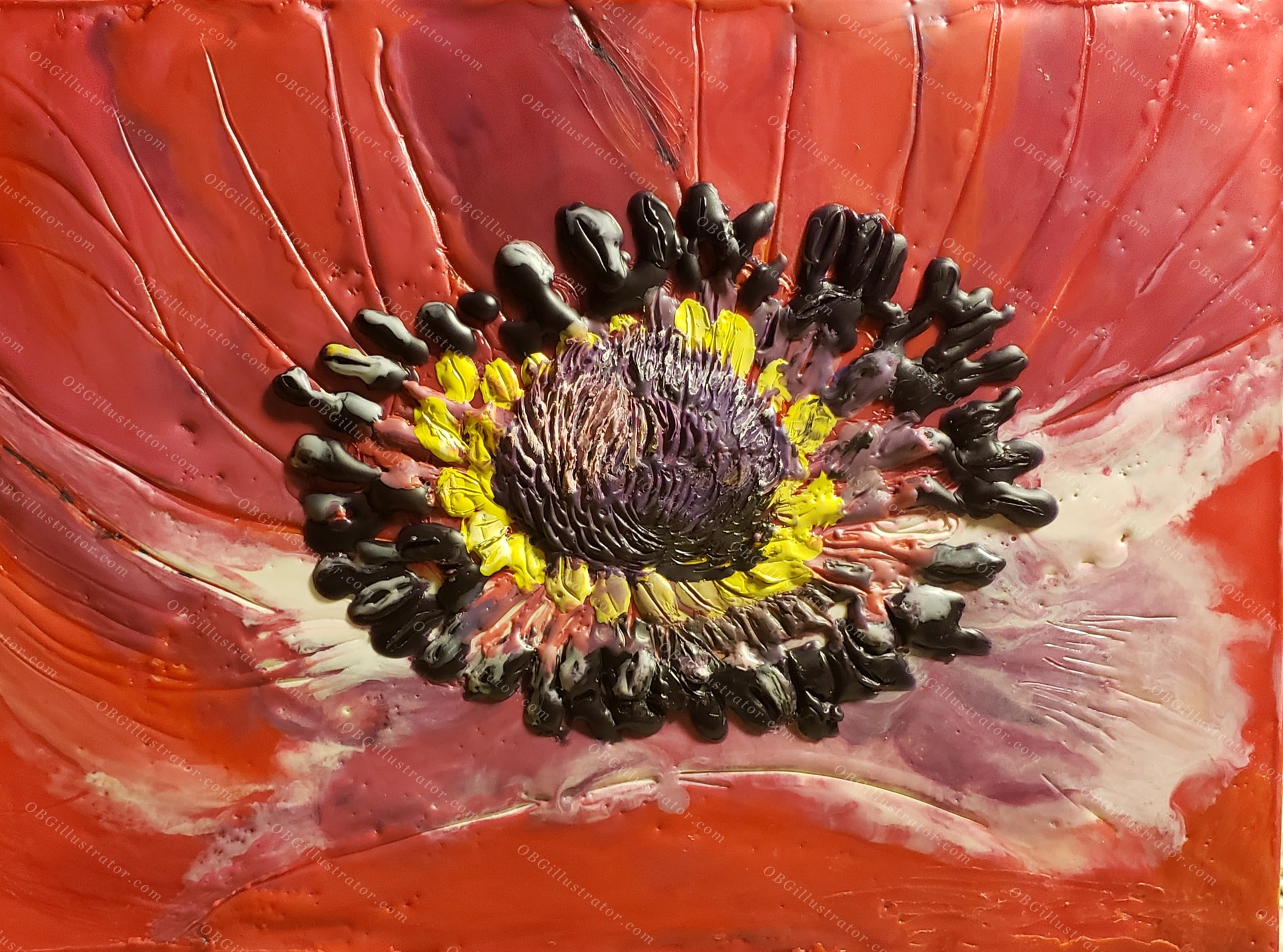 Red Poppy