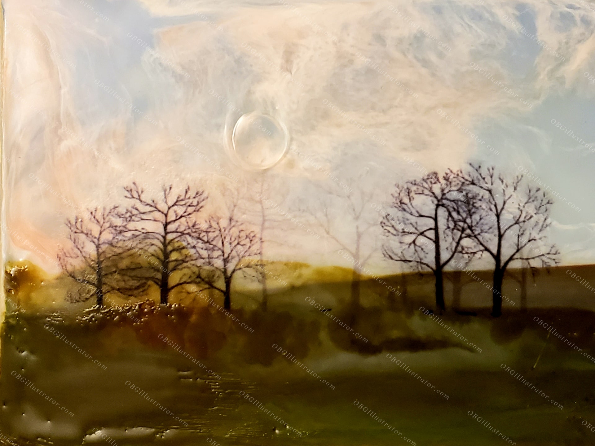 Trees Sunrise