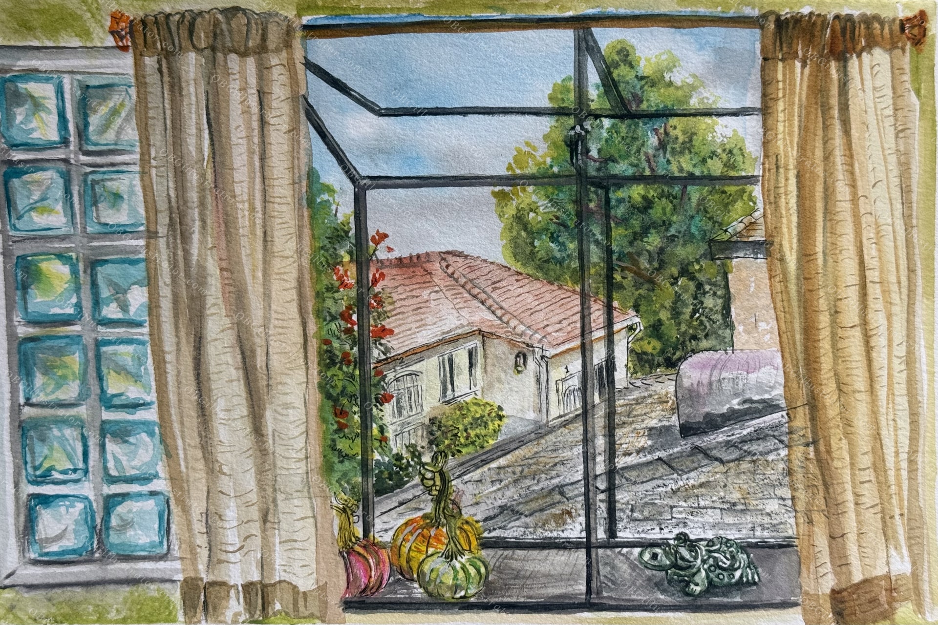 The View from Home