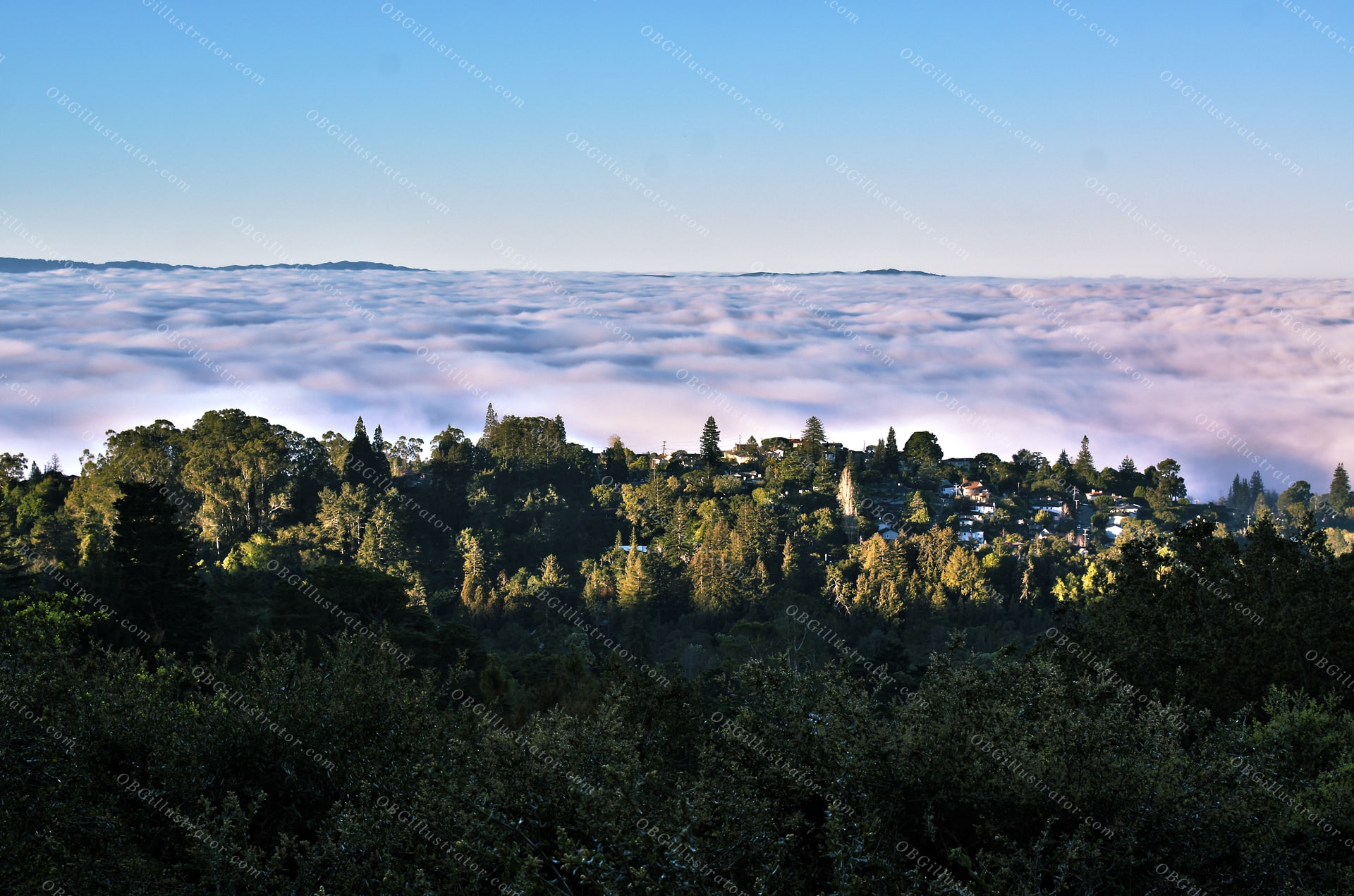 Oakland In A Sea Of Clouds