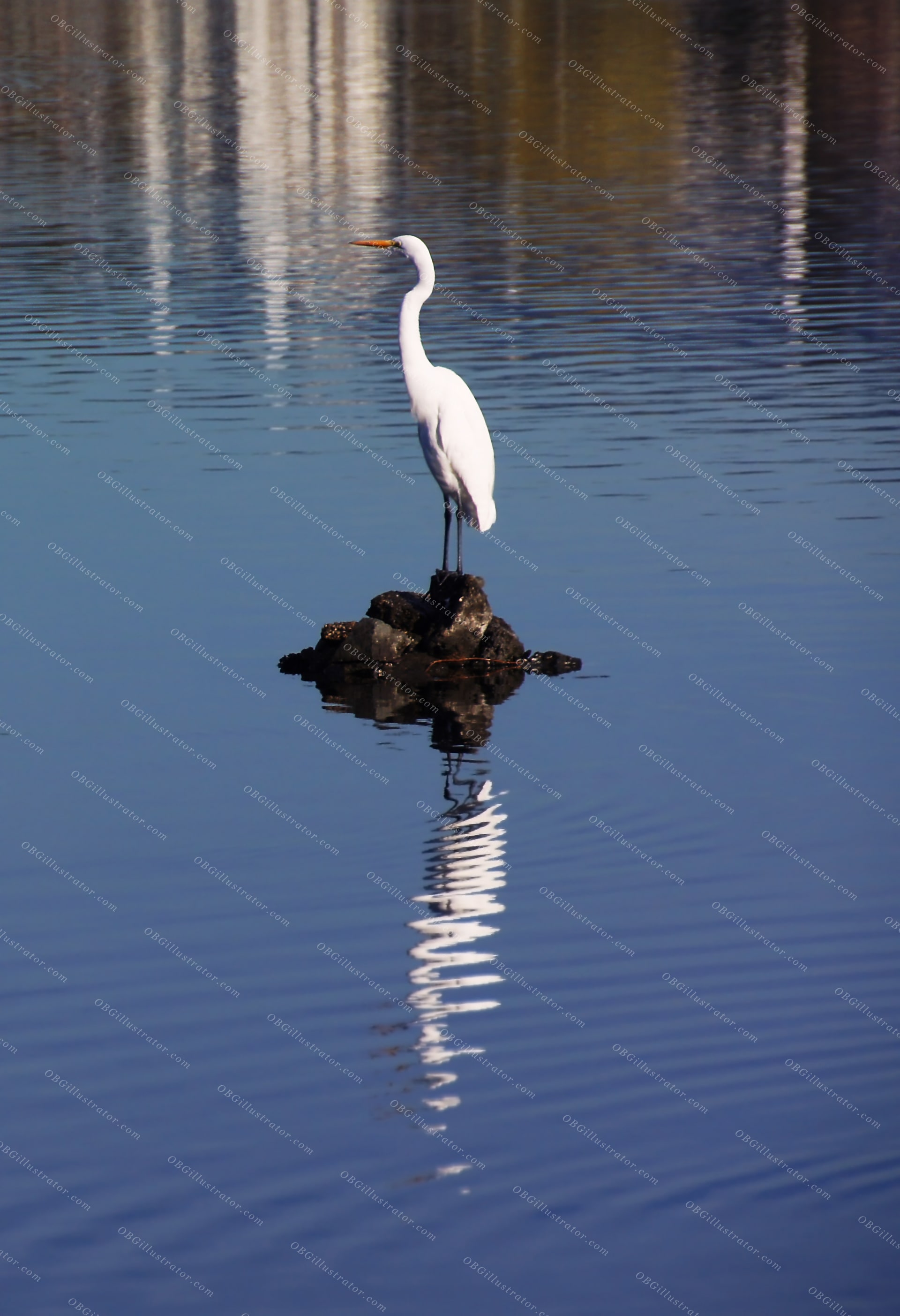 Sentinel Of The Still Waters